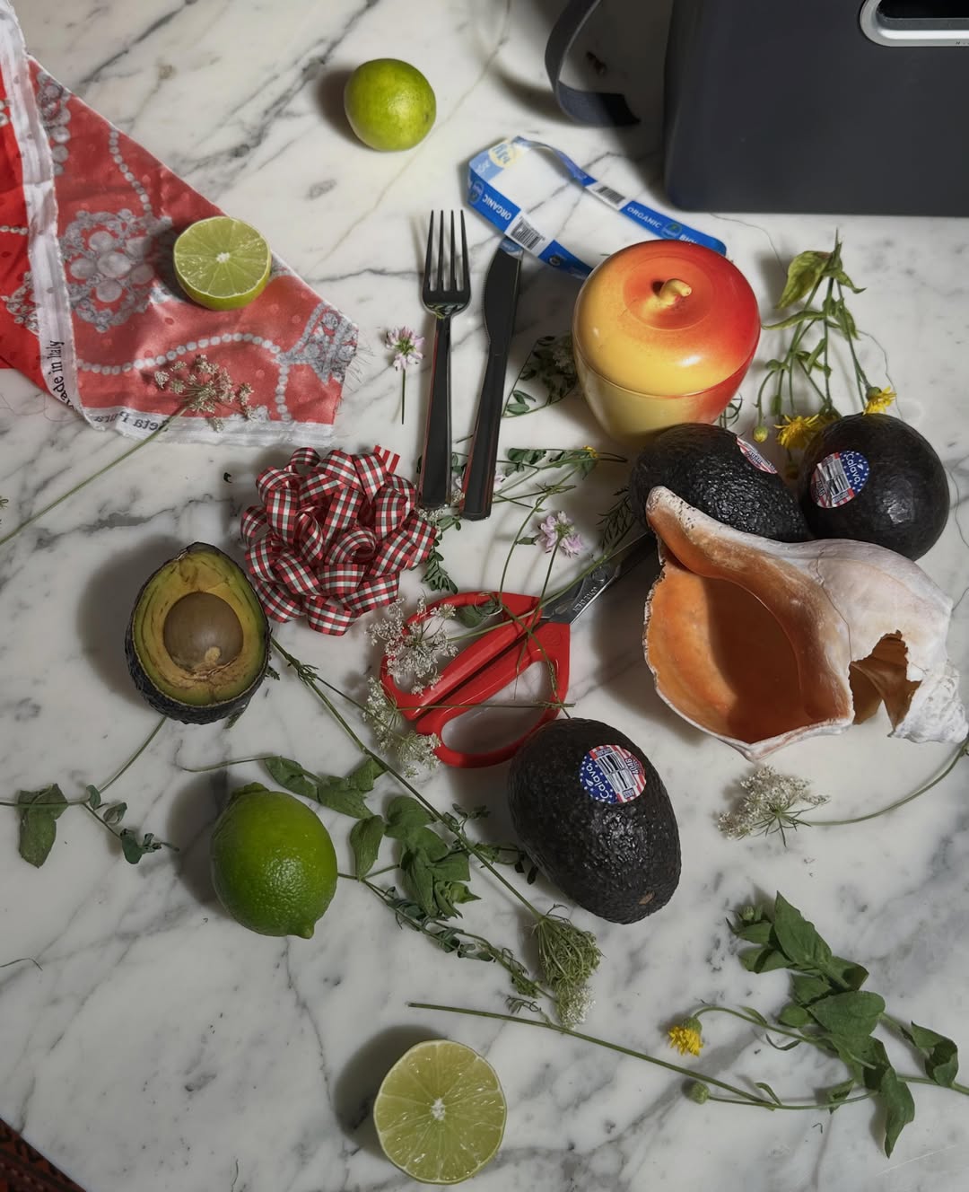 Roe Ethridge Aug. 26