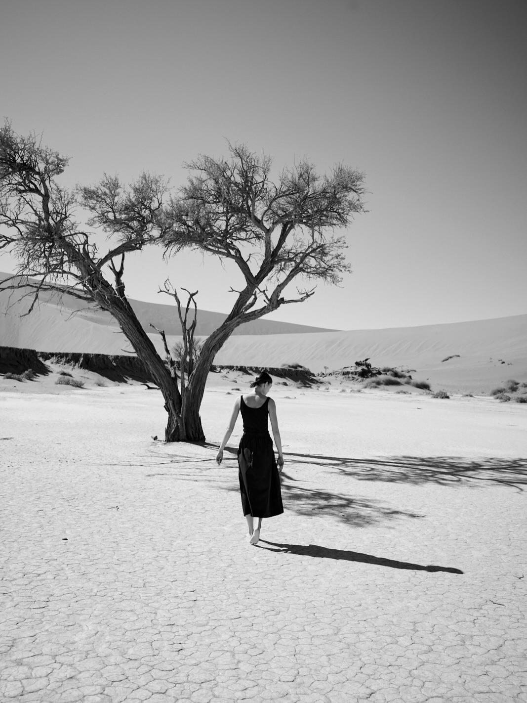 Roger Neve
