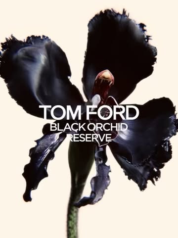 Tilda Swinton by @inezandvinoodh for @tomfo...