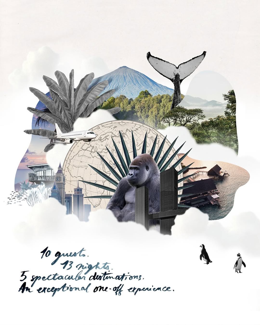 Roxane Lagache X ROAR AFRICA