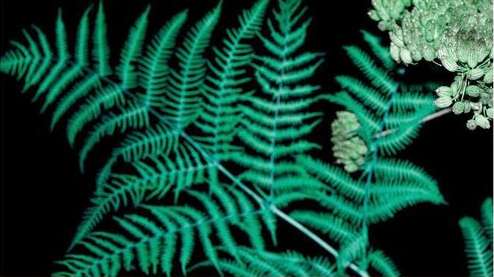 Dries Van Noten |  Apr. 22