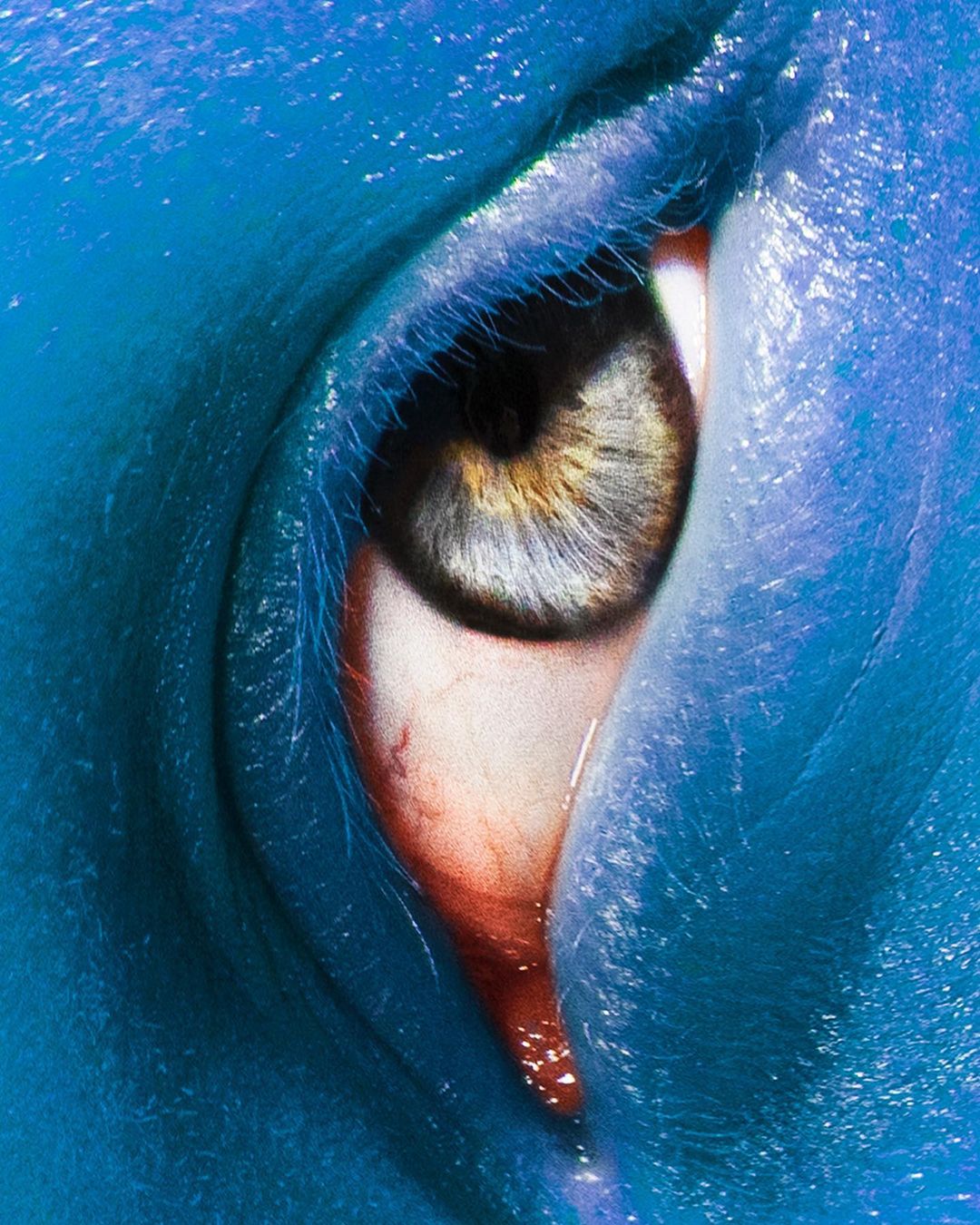 Venomous Magazine |  Mar. 23