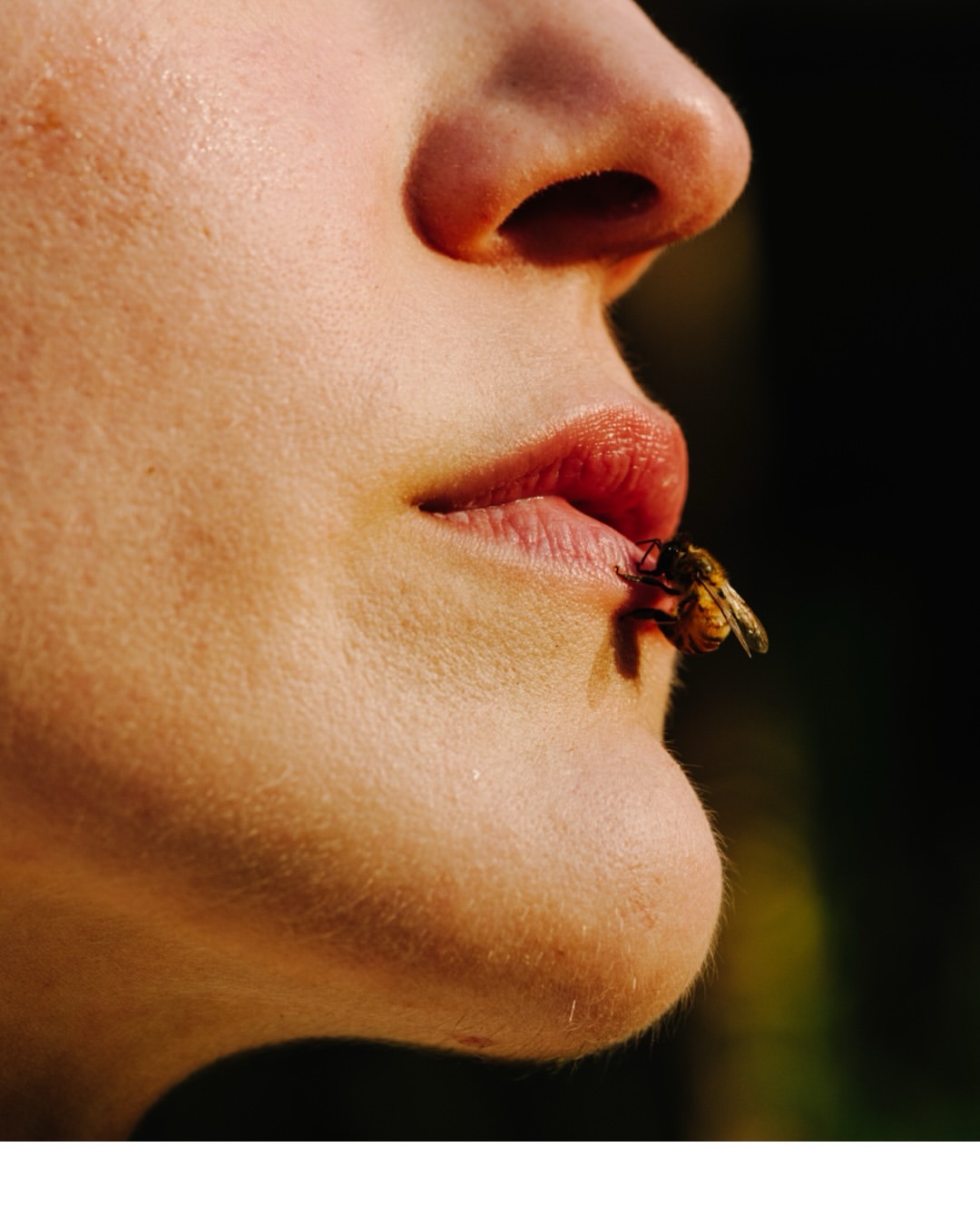 Samuel Elkins Feb. 26