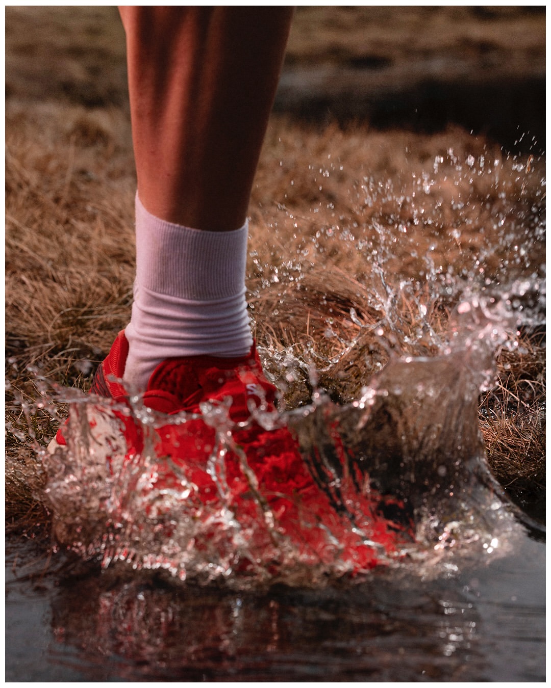 Sandro Baebler X The Red Bulletin