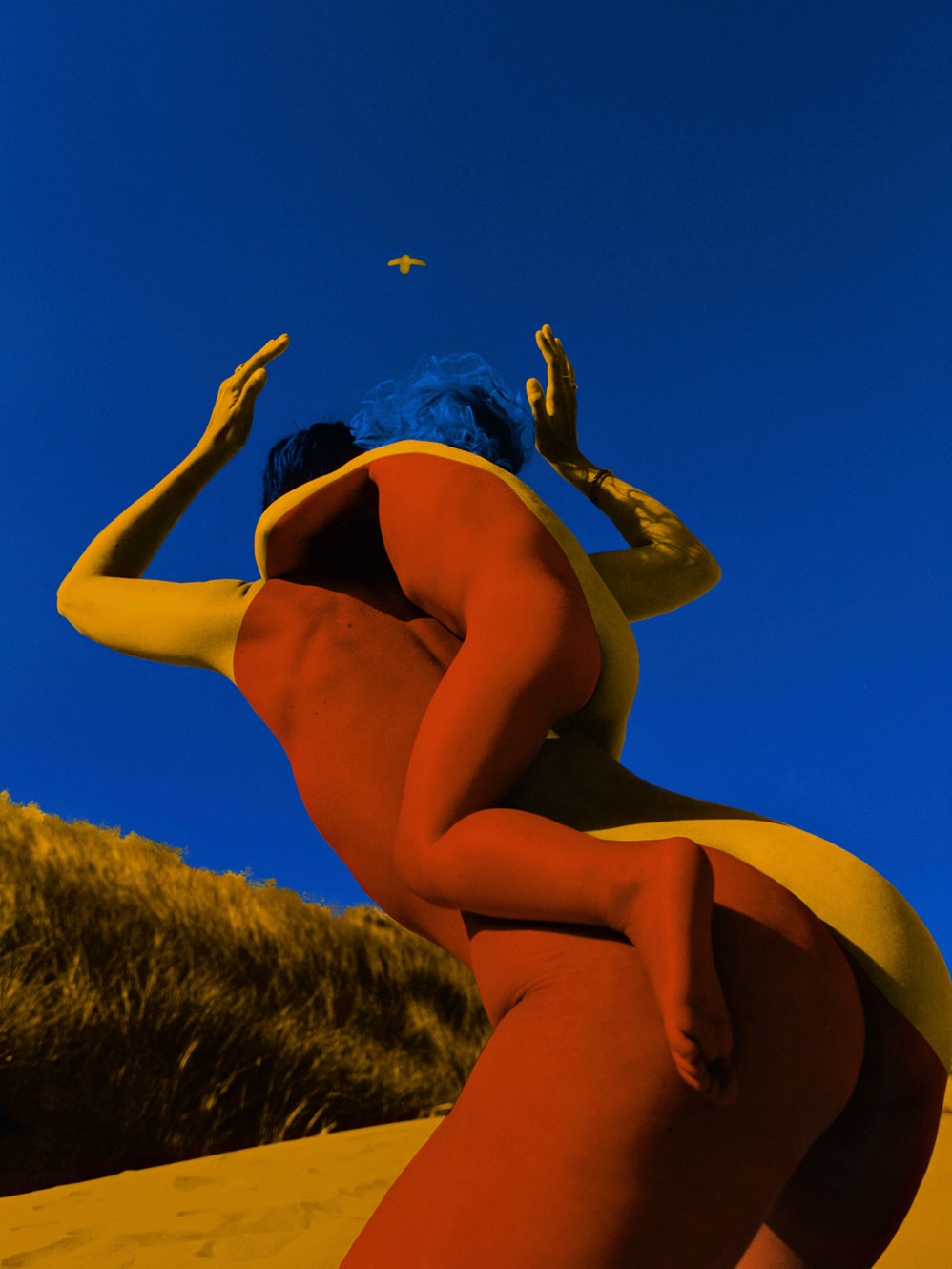 slider image