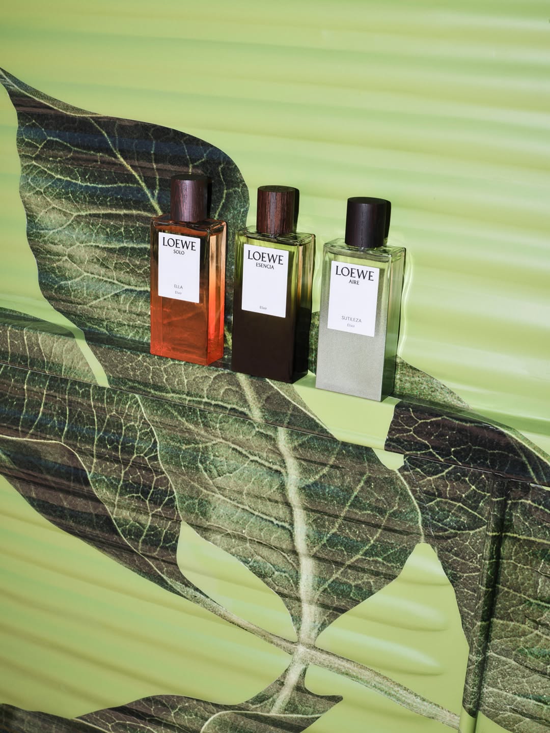 Santi Sierra X LOEWE Perfumes