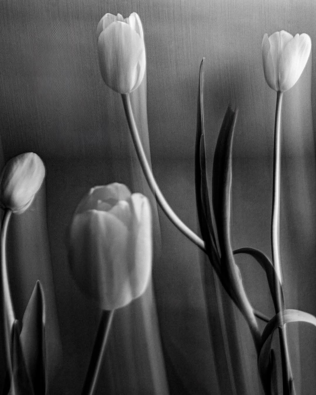 Sarah van Rij & David van der Leeuw