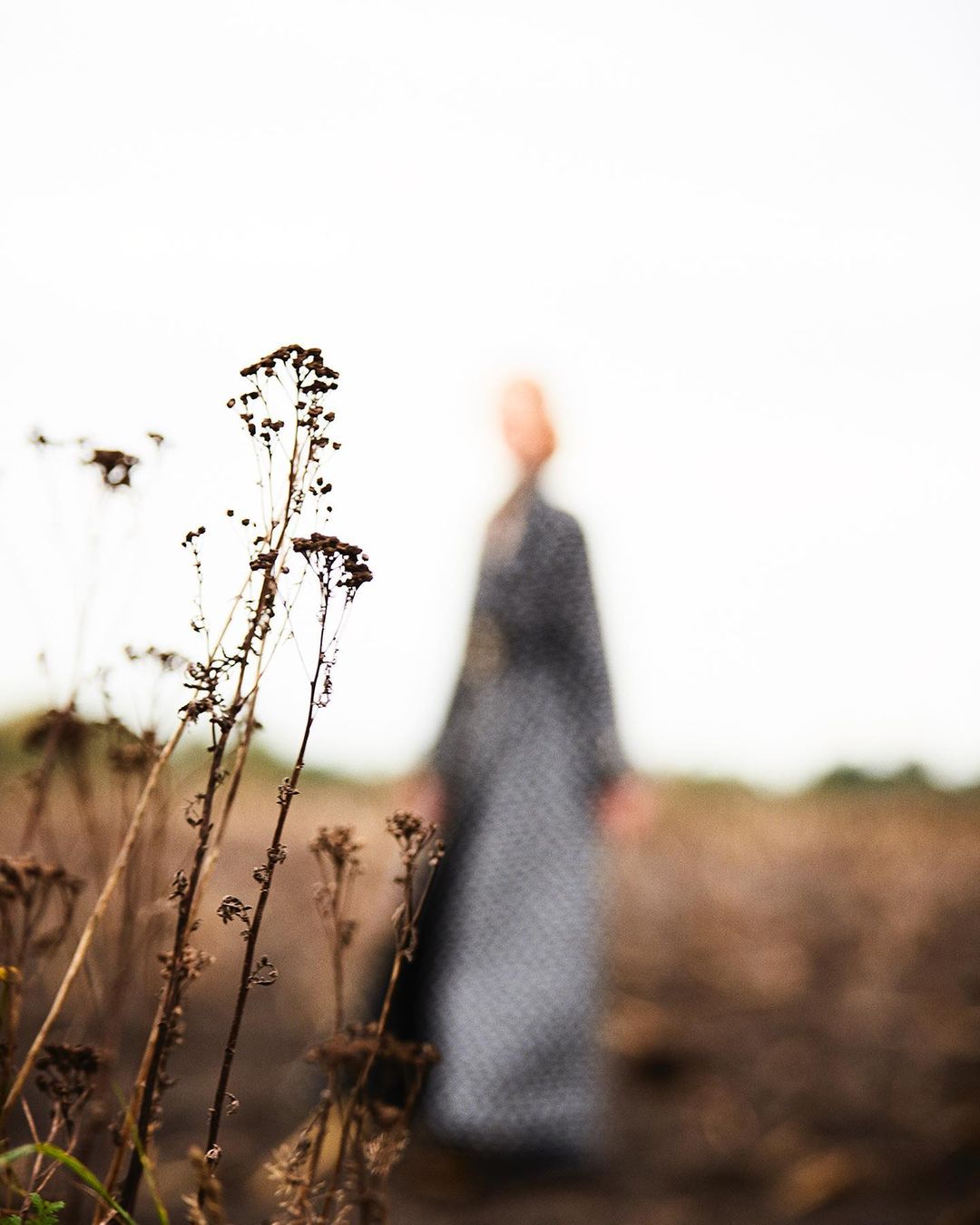 Die Stilisten |  Dec. 20