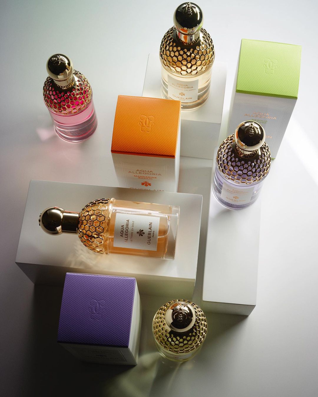 French Magazine |  Nov. 22