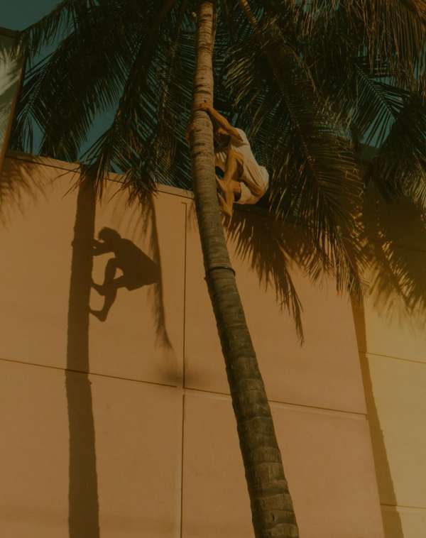 Sebastien Zanella
