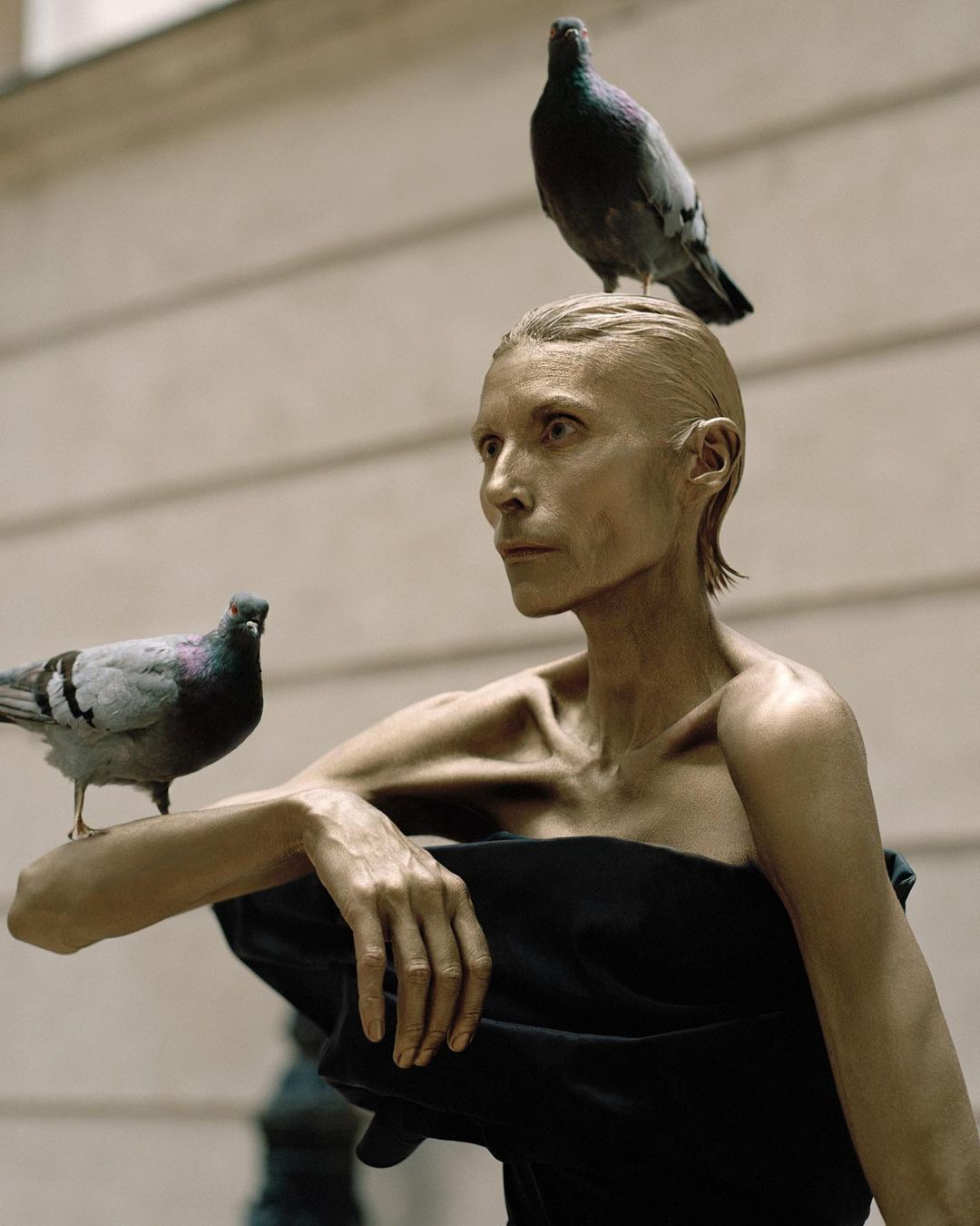 Document Journal |  Nov. 23