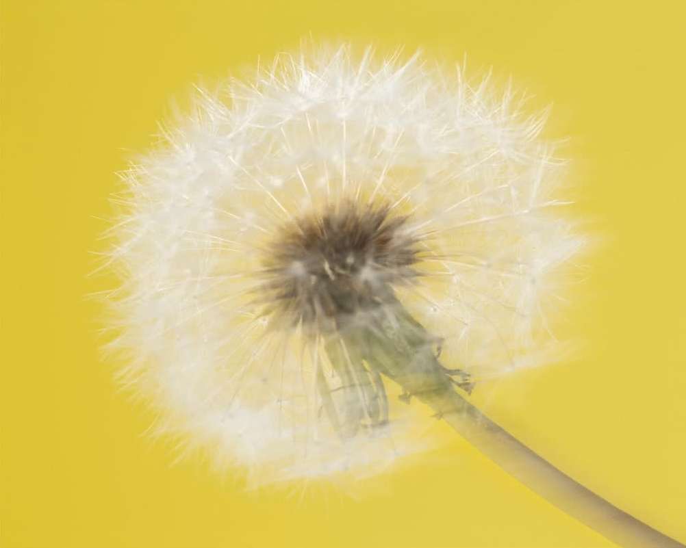 Sergiy Barchuk X Hermès Dec. 25