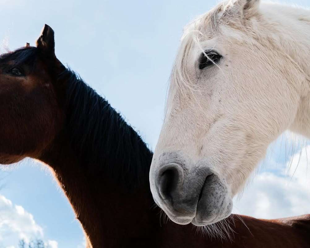 Sergiy Barchuk X Hermès