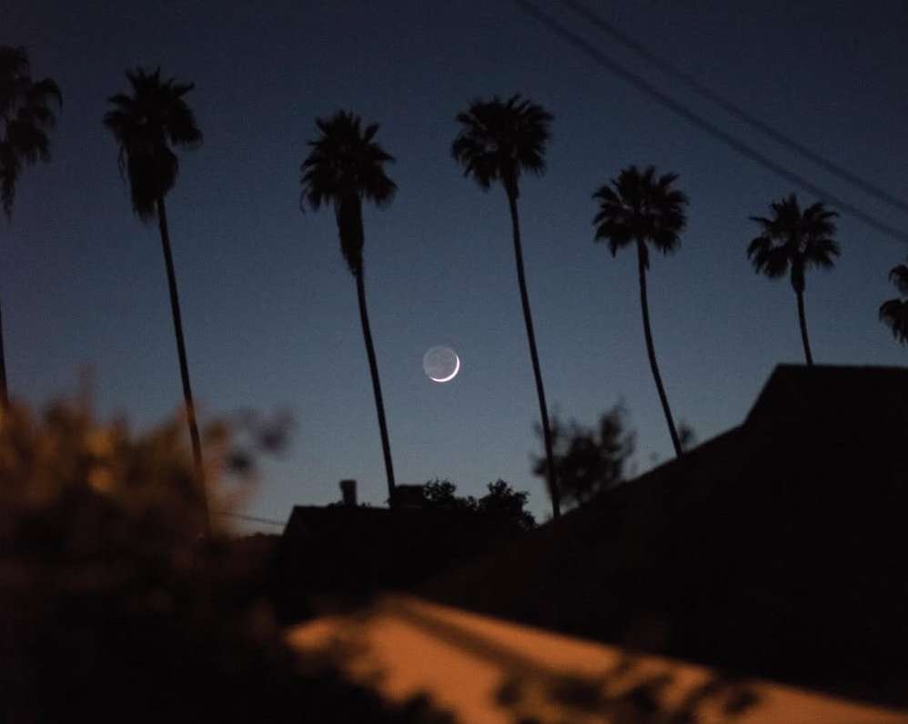 Sergiy Barchuk X Hermès