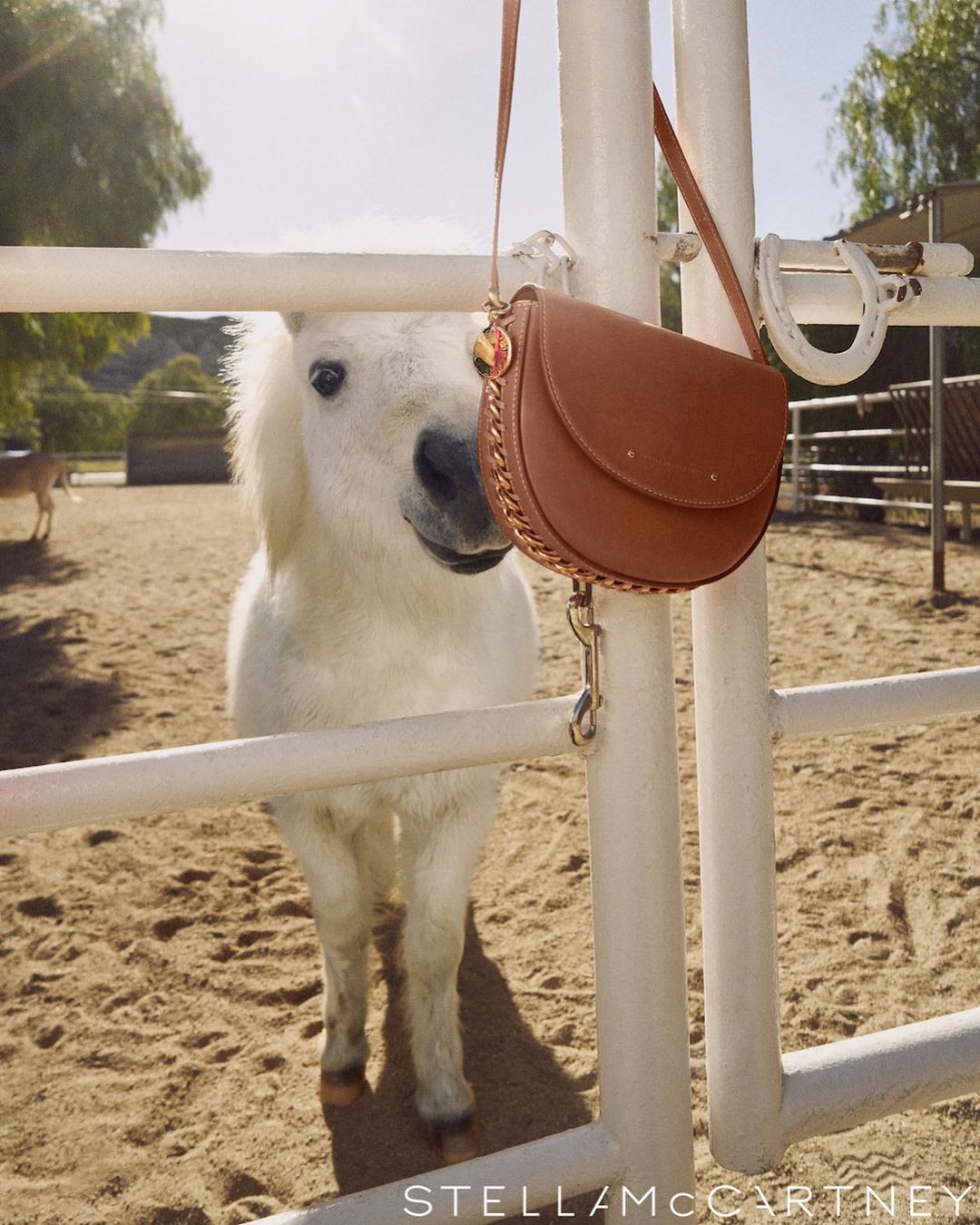 Stella McCartney |  May. 23