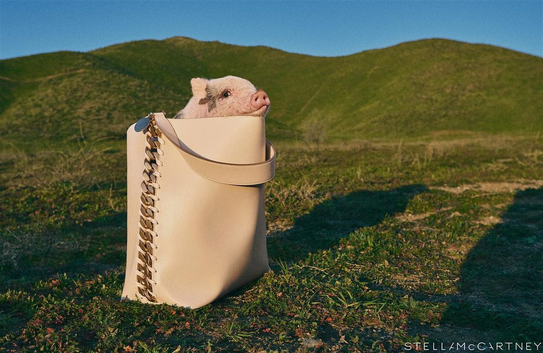 Stella McCartney |  May. 23