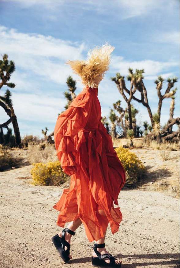 Aaron Feaver