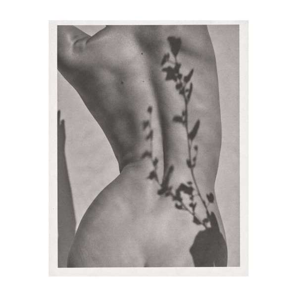 Aaron Feaver