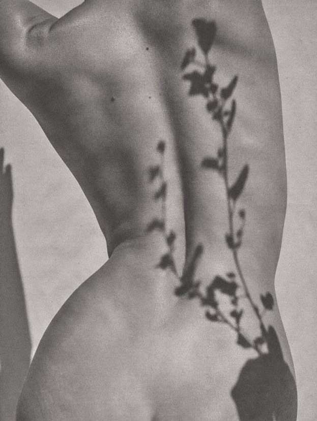 Aaron Feaver
