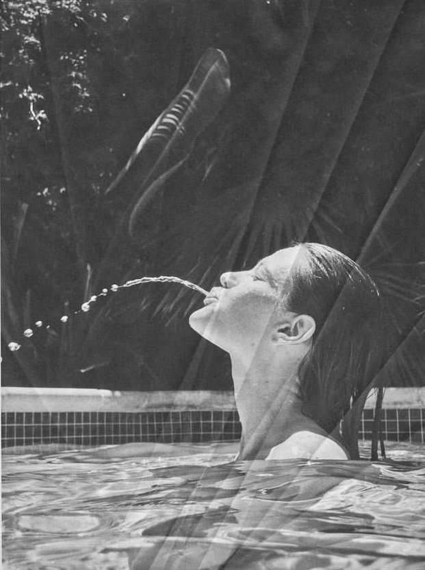 Aaron Feaver