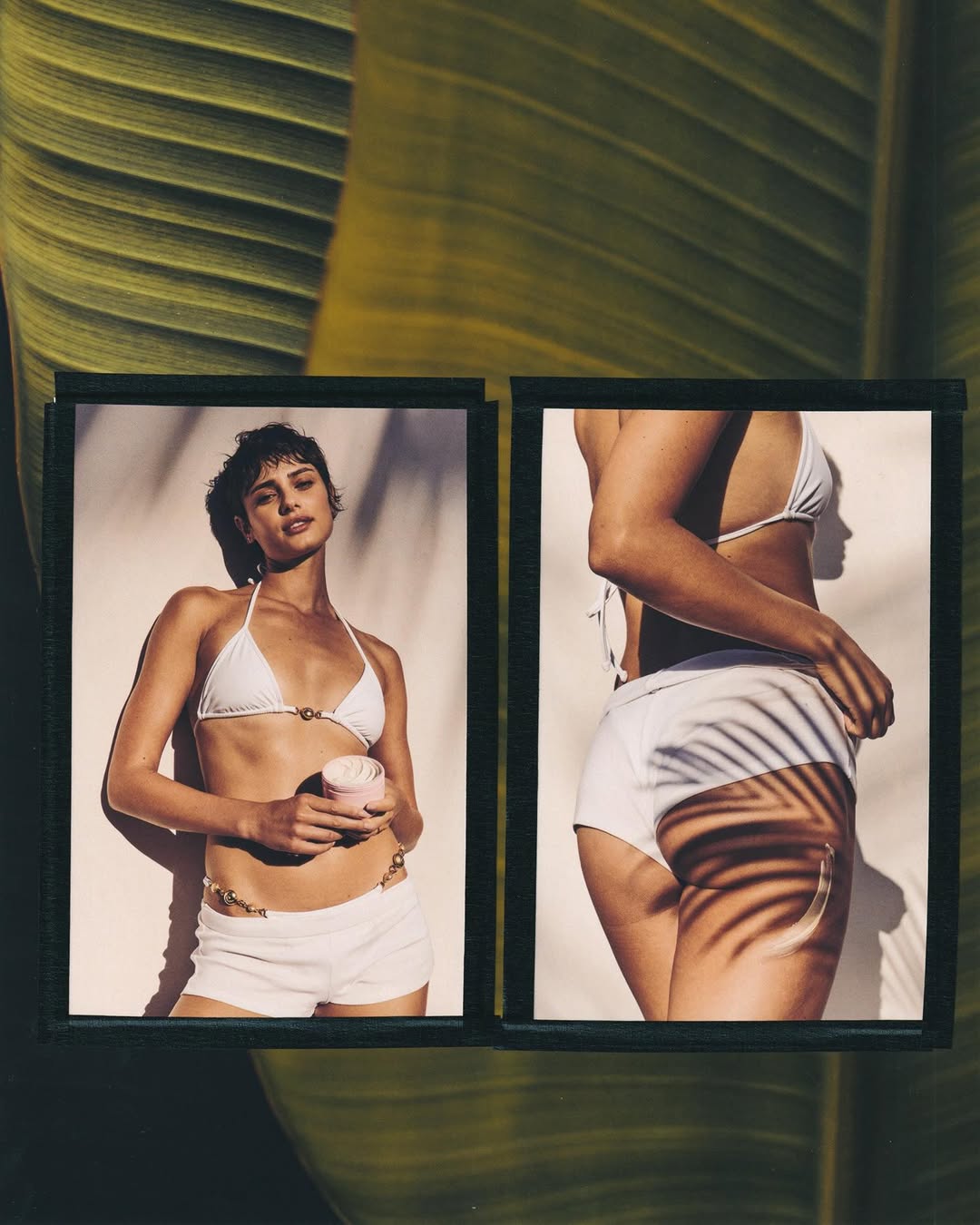 Aaron Feaver X Sol de Janeiro