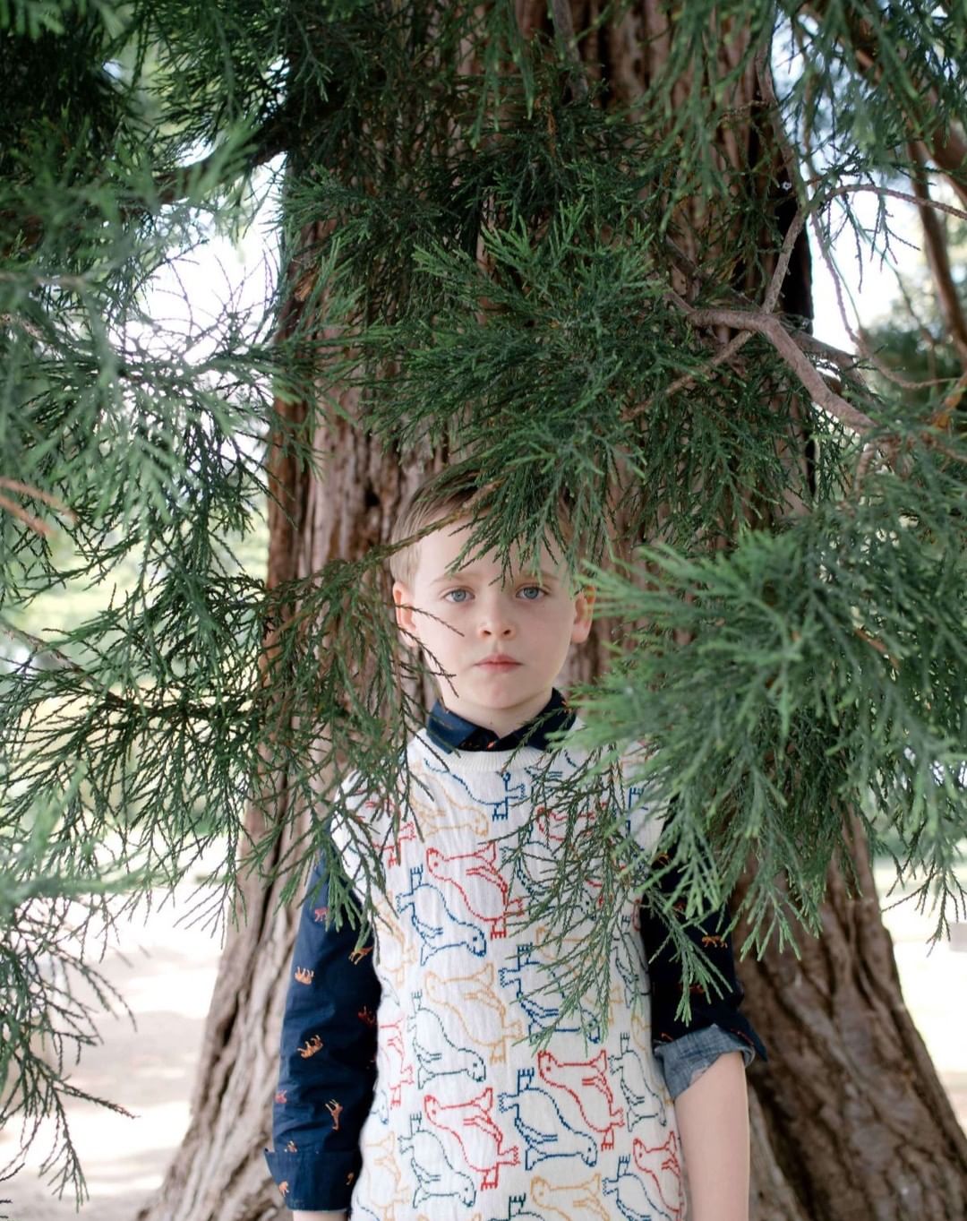 Mini Maven |  May. 22