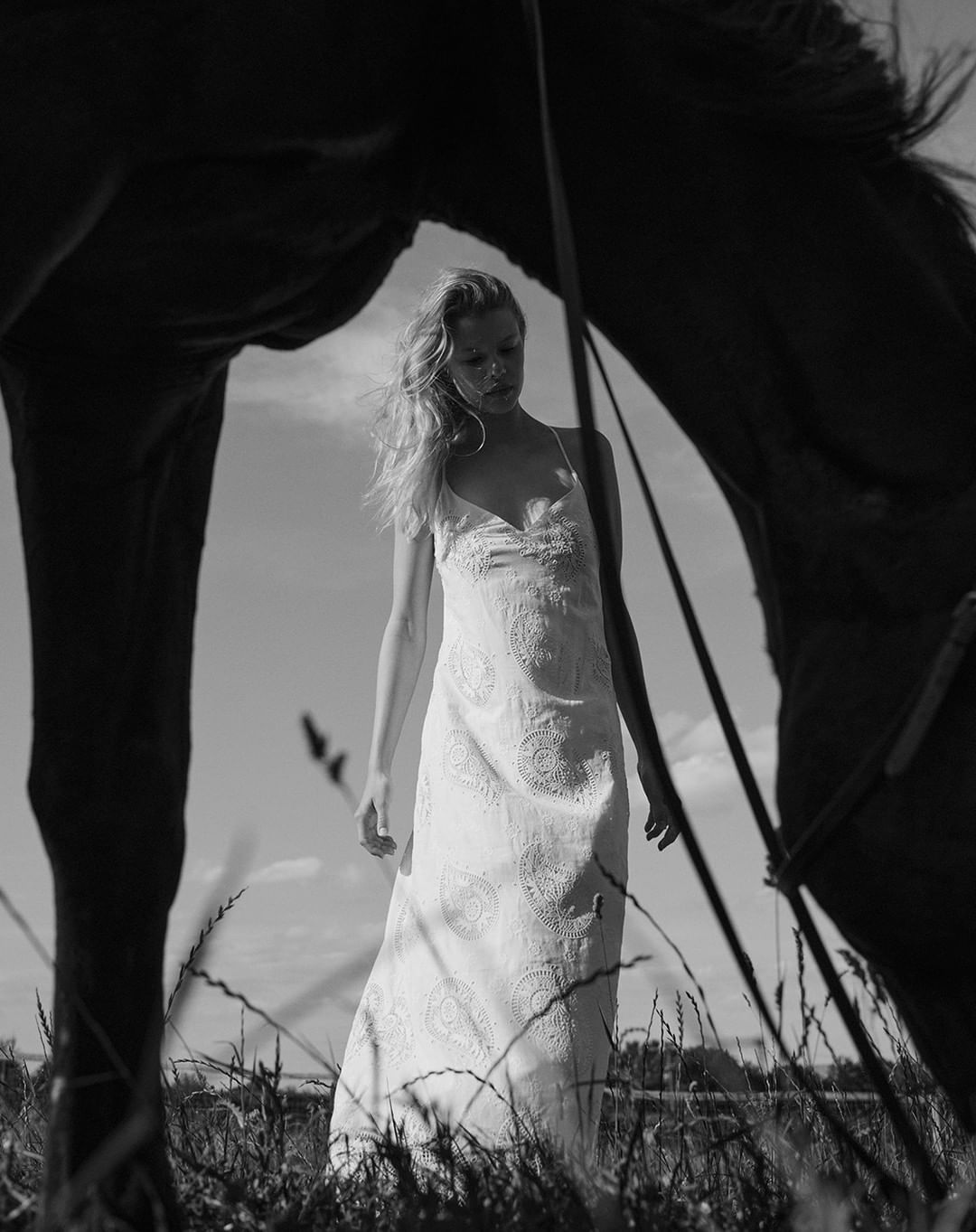 Desmond & Dempsey |  Oct. 22