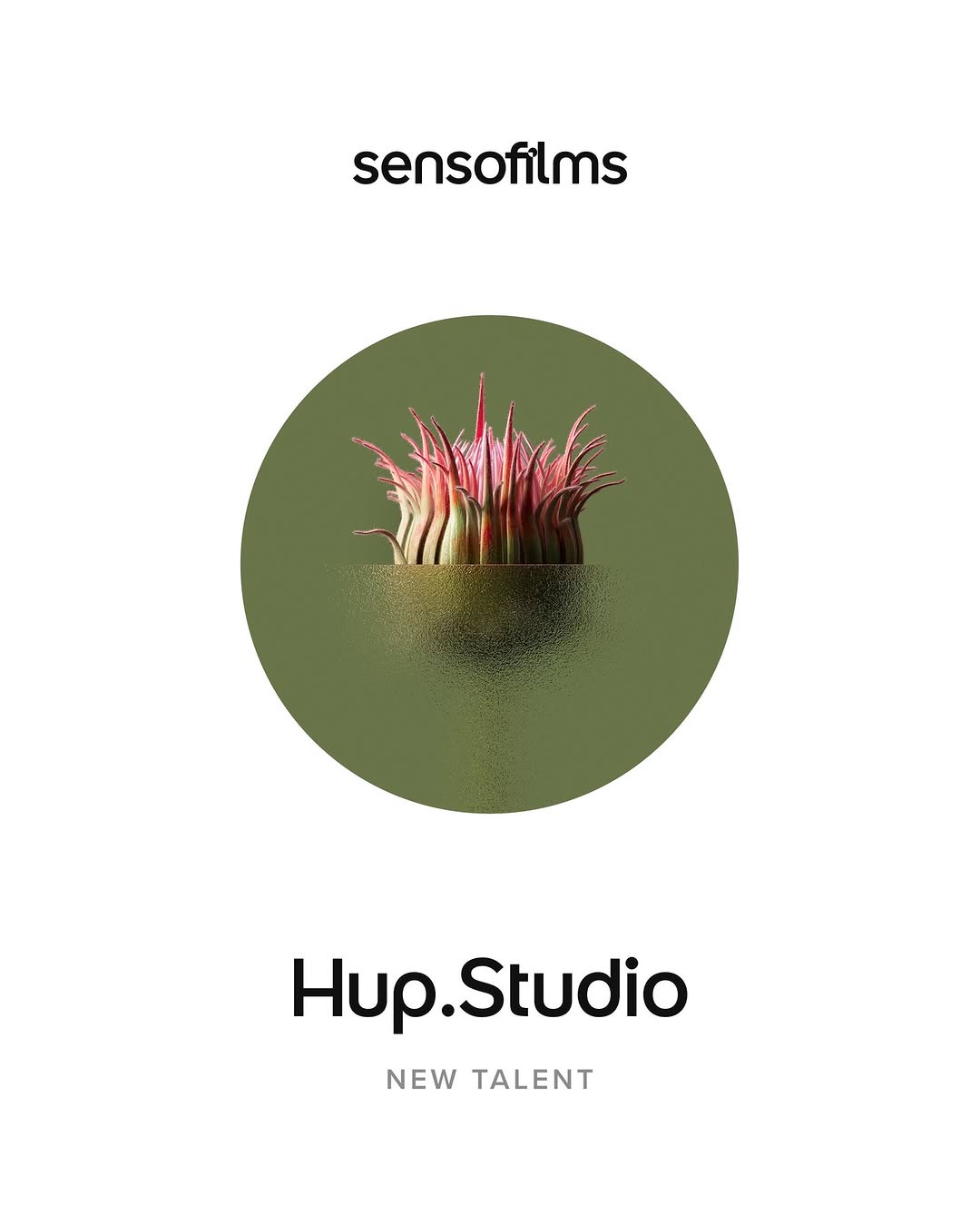 Hup Studio