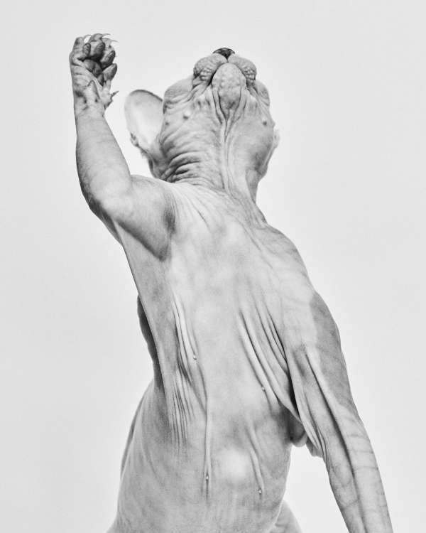 Shayan Asgharnia