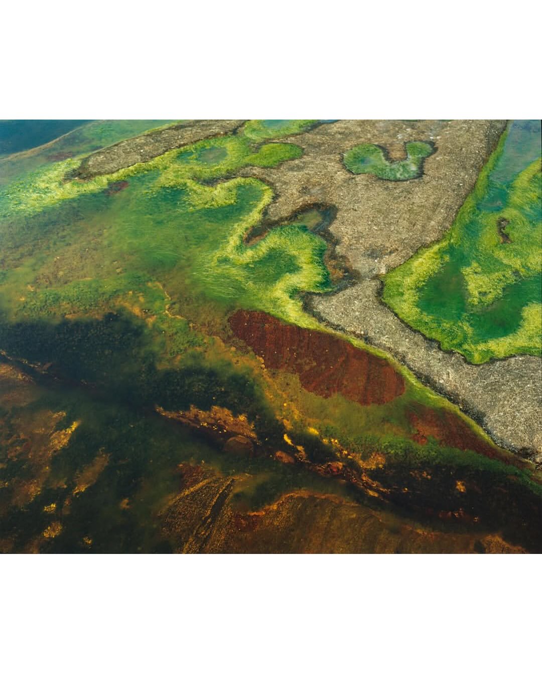 Théo de Gueltzl for D la Repubblica

For the latest Travel Issue of D la Repubblica, French photographer Théo de Gueltzl ventures near the Arctic Circle to capture the raw beauty of Norway. In the North, the finest light comes during the blue hour, around three in the afternoon in the heart of winter, just before night falls. De Gueltzl seizes this fleeting glow, photographing model Théa Almqvist among dramatic fjords, black rocks, and waterways dusted with the season’s first snow. The images evoke a sense of quiet wonder, where each frame balances solitude with the grandeur of nature. Every shot reveals subtle contrasts, the dark, rugged cliffs against the soft, pale light, the still waters reflecting fleeting glimpses of sky. With each image, the photographer invites viewers to pause and linger, to feel the serene magic of the northern light and the almost tangible stillness that blankets this frozen landscape, a place where time seems to slow and the world holds its breath.

Creative Direction @drepubblicait @efarneti
Photographer @‌theodegueltzl
Styling @jamesvaleri
Make up @anthonypreel_⁠
Hair @‌eugenesouleiman
Talent @‌thea_almqvist
Post House @sheriff.projects
#sheriffprojects