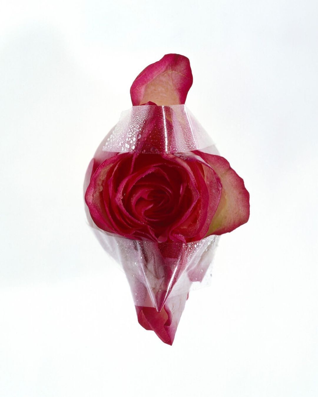 Numero Berlin |  Sep. 21