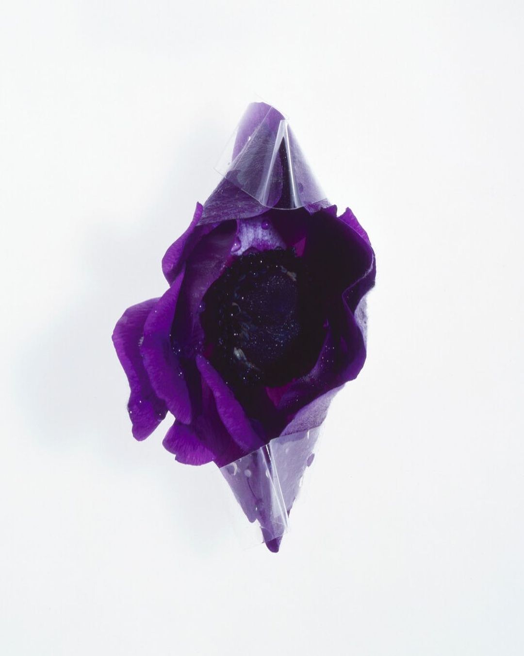 Numero Berlin |  Sep. 21