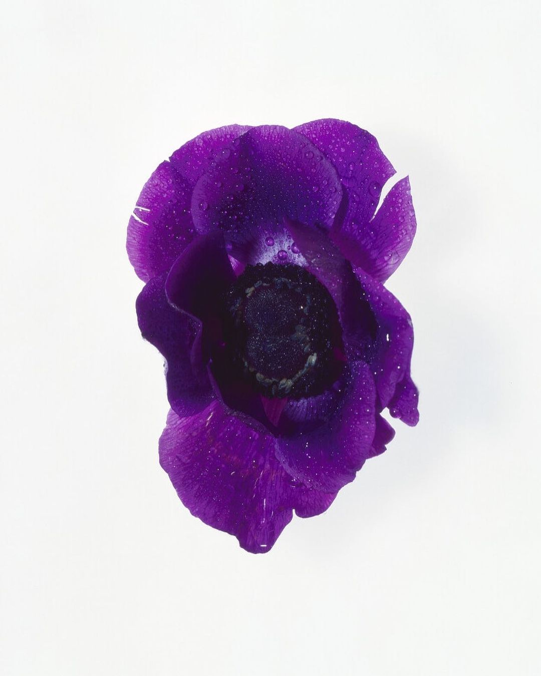 Numero Berlin |  Sep. 21