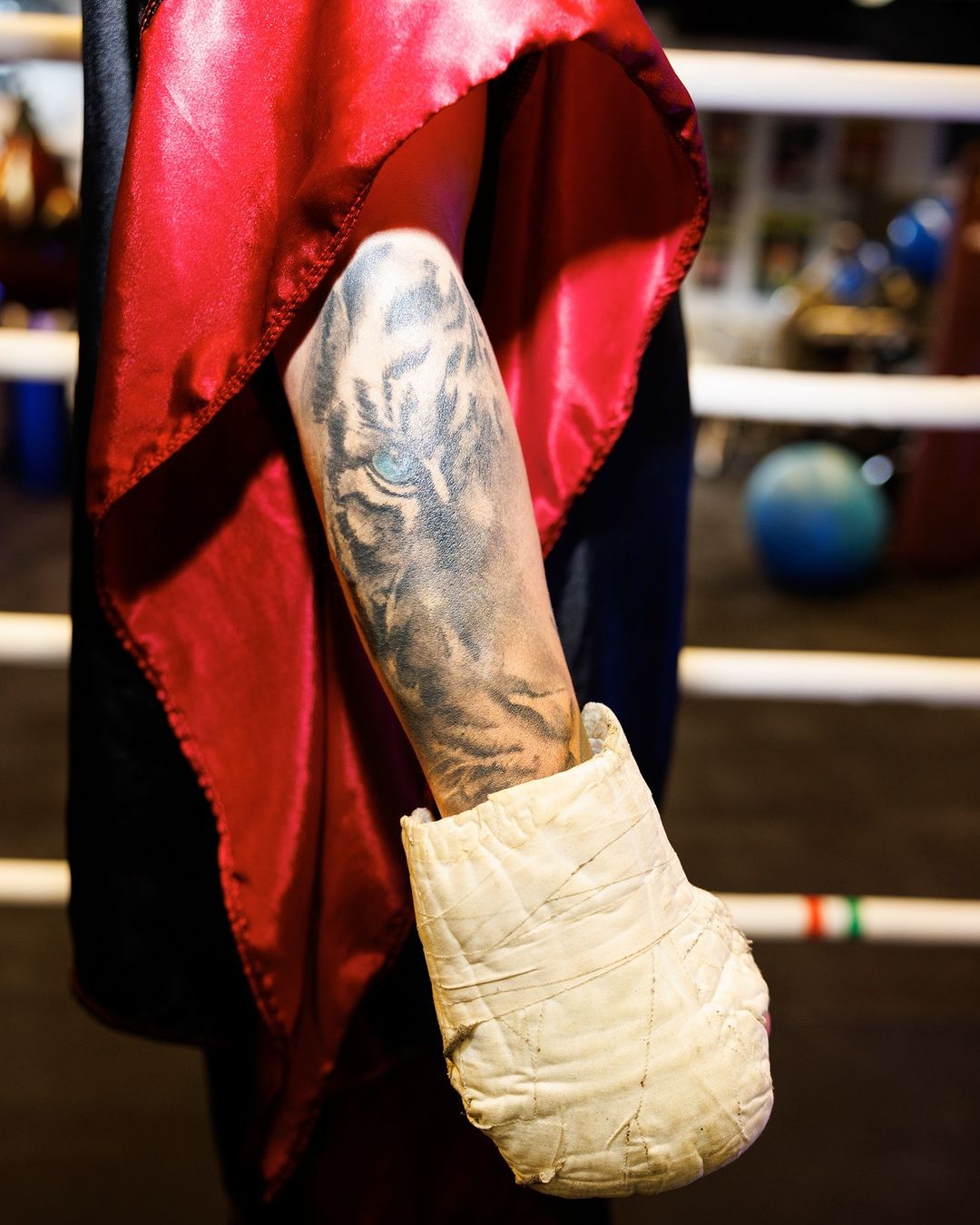 DER SPIEGEL |  Oct. 23