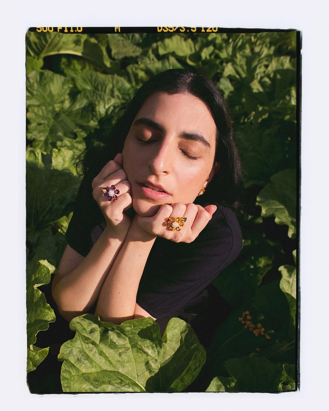 Stew Bryden X Van Cleef & Arpels