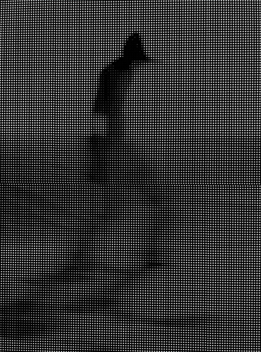 Lucas Chemotti X HELIOT EMIL Nov. 25