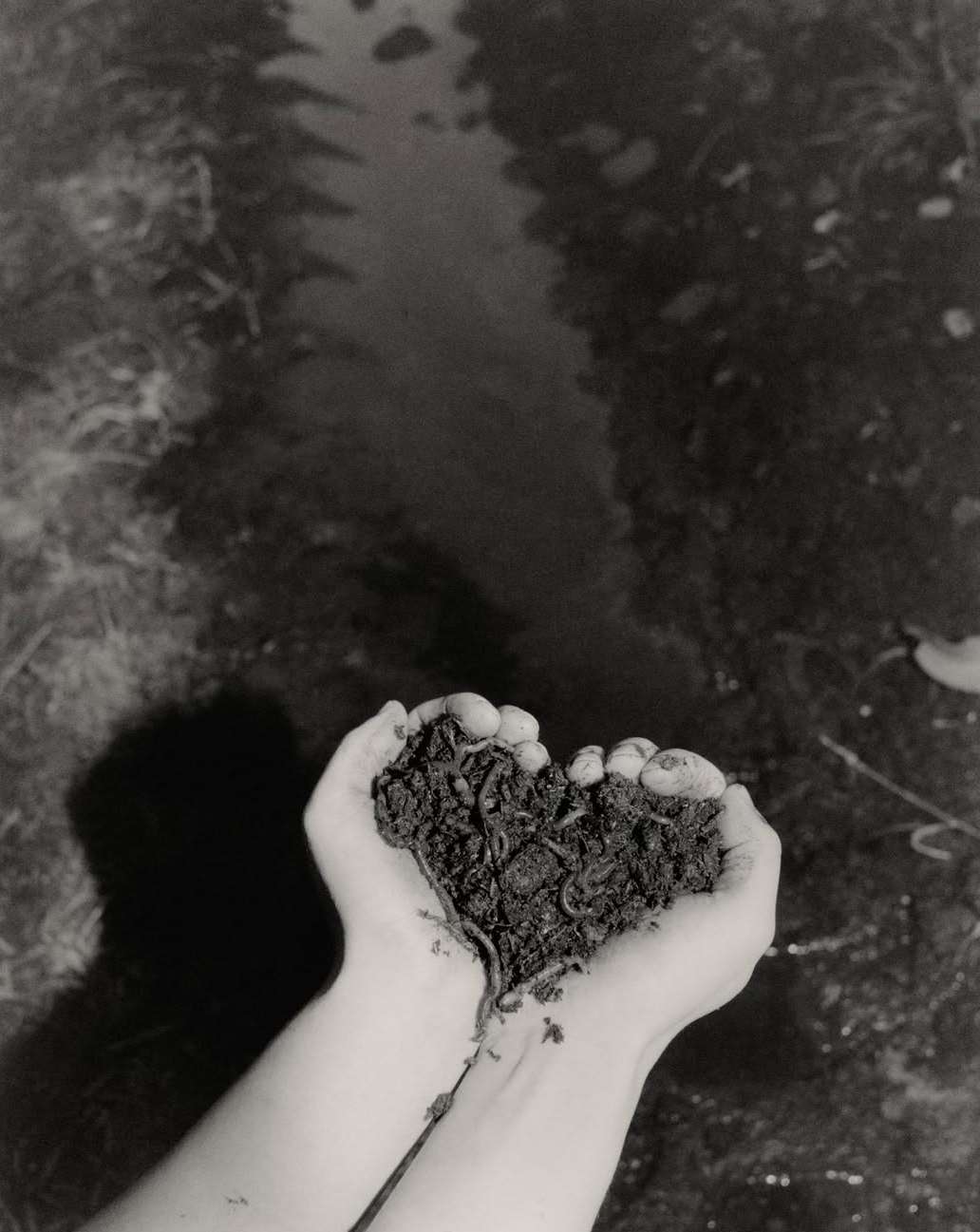 Keith Oshiro X LOCAL OPTIMIST Dec. 25