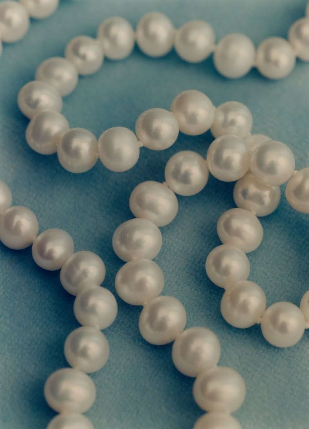 Saks Fifth Avenue |  Jan. 26