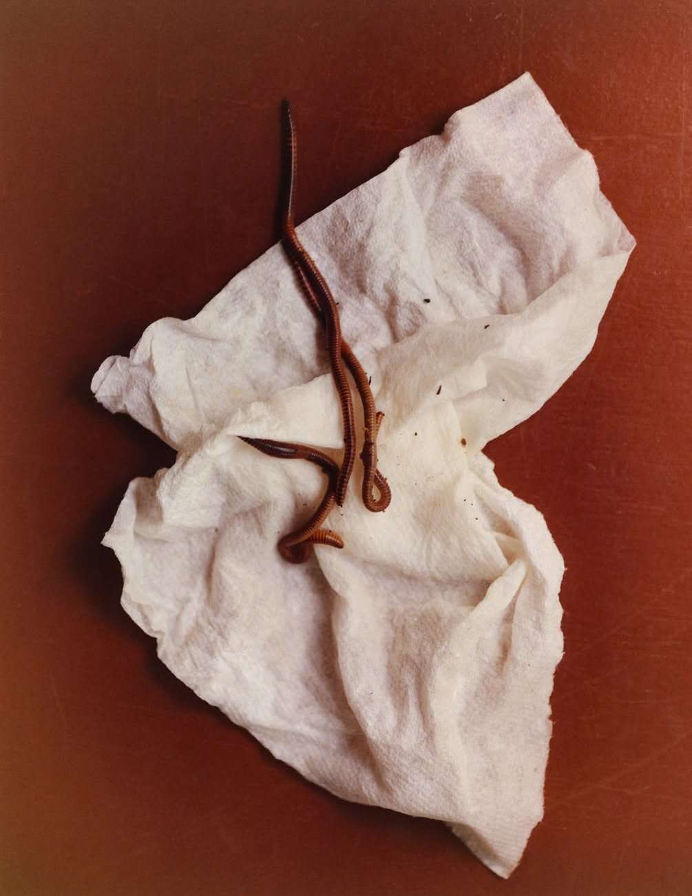 Keith Oshiro Feb. 26