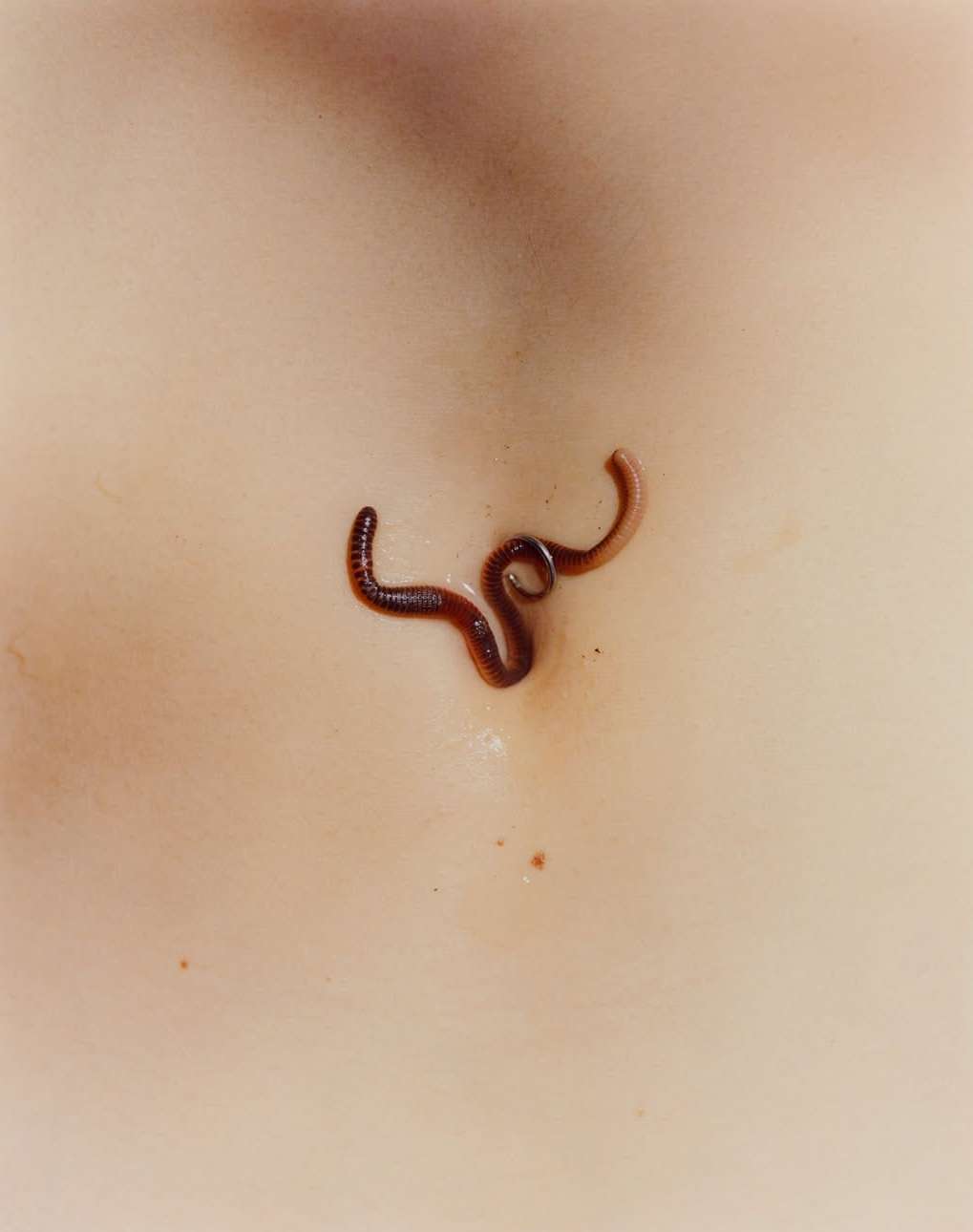 Keith Oshiro Feb. 26