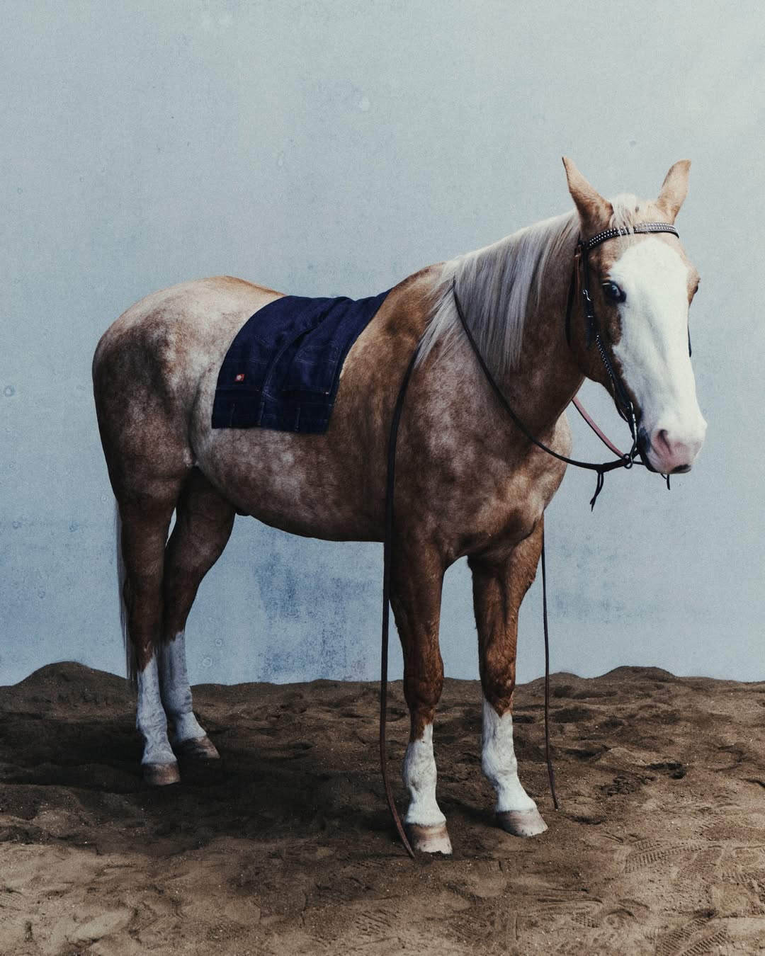 Diego Bendezu X Dickies Feb. 26