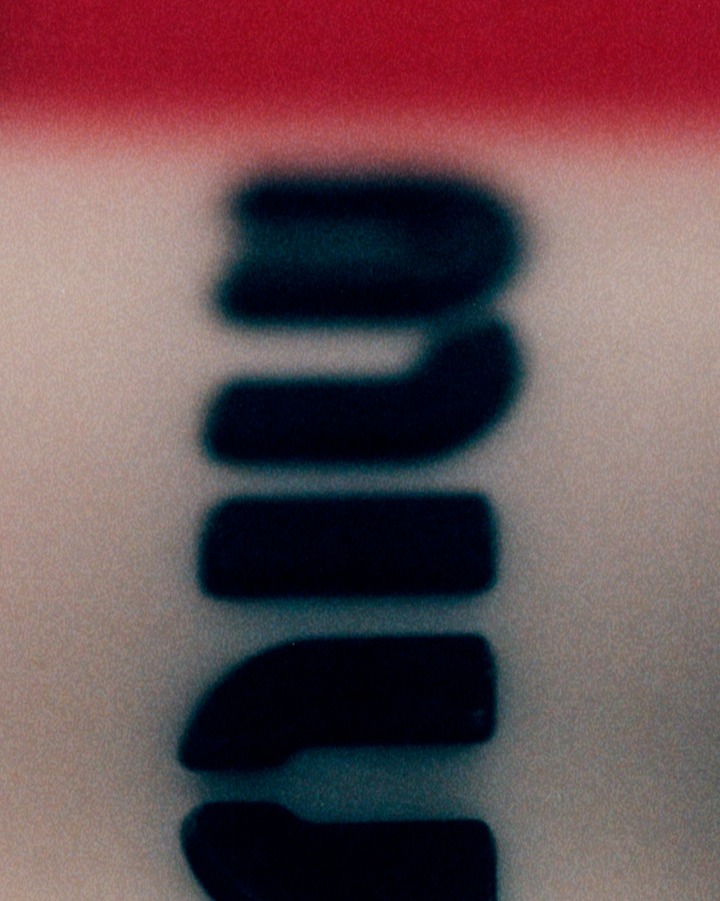 Troy Covey X Miu Miu