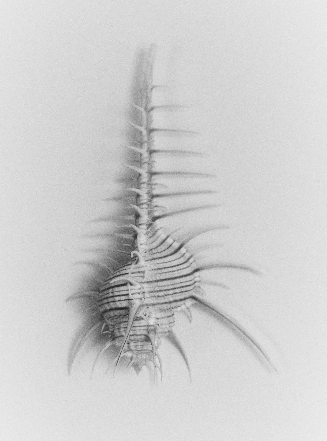 Myrthe Giesbers Apr. 26