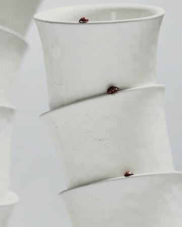 Myrthe Giesbers X Simone Bodmer-Turner Apr. 26