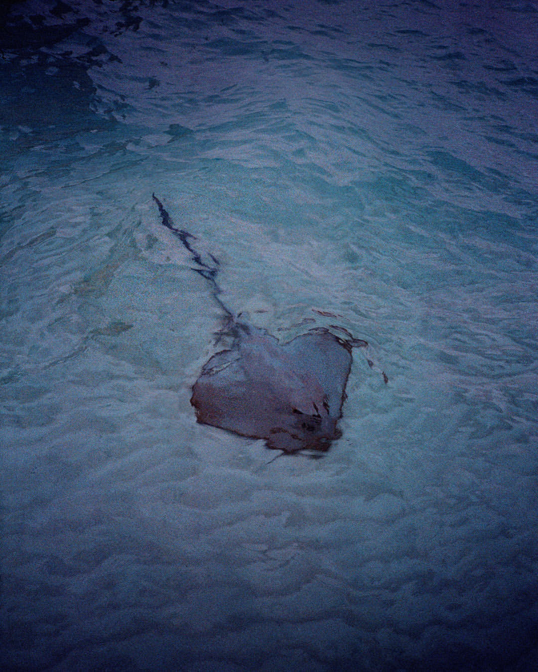 DU CIEL |  Jul. 26