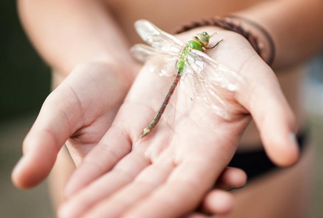 <a href="/shaun-fenn">Shaun Fenn</a> <span style="text-transform: none; white-space: nowrap;">Mar. 26</span>