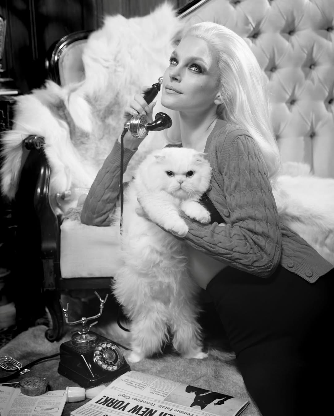 @jessicastam as ‘Le Chat’ for the cover of @ca...