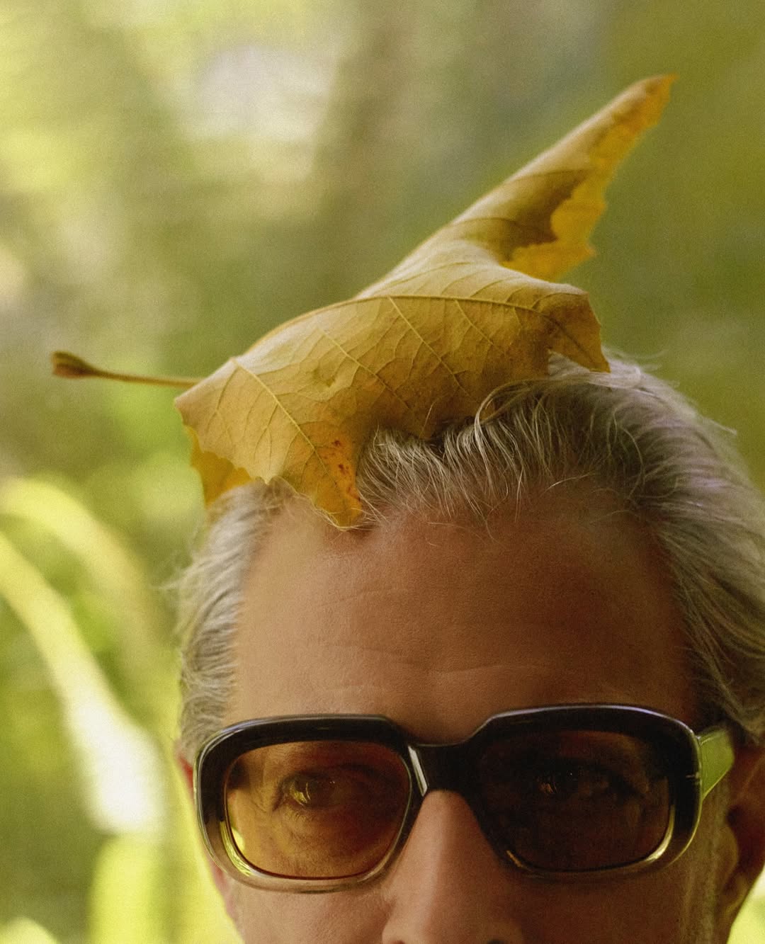 Milan Zrnic X Jeff Goldblum for CAP 74024 Dec. 25