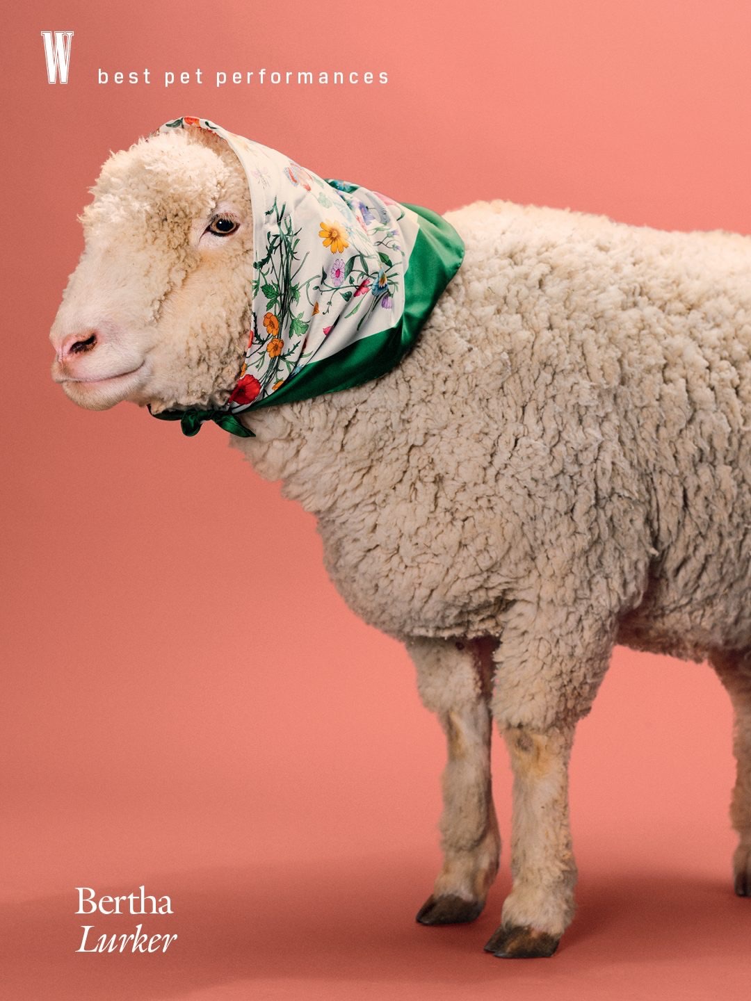 Ryan Lowry X W Magazine