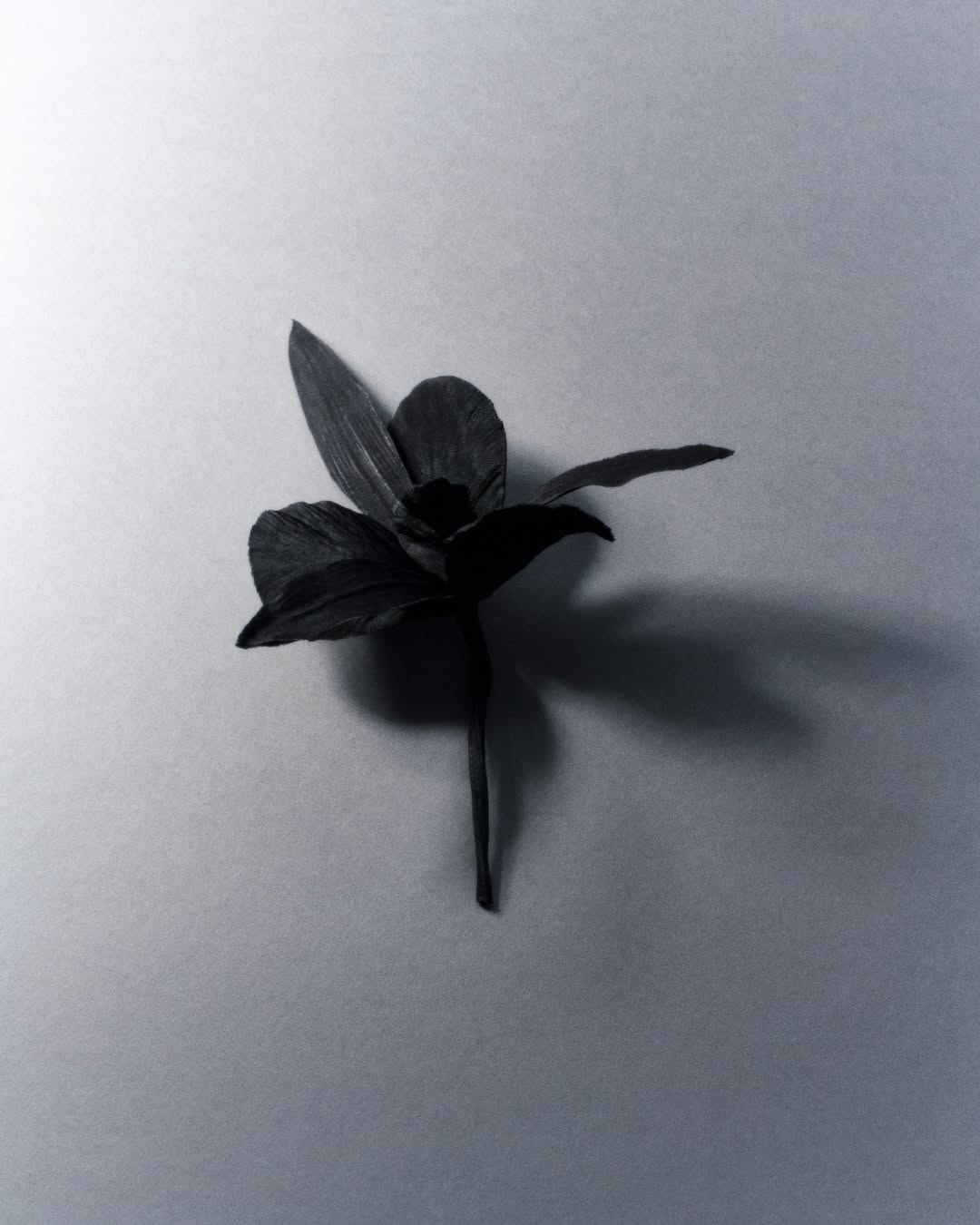 Andrés Jaña X Thom Browne